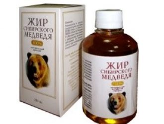 Медвежий Жир при Кашле (Полезные Свойства и Рецепты)